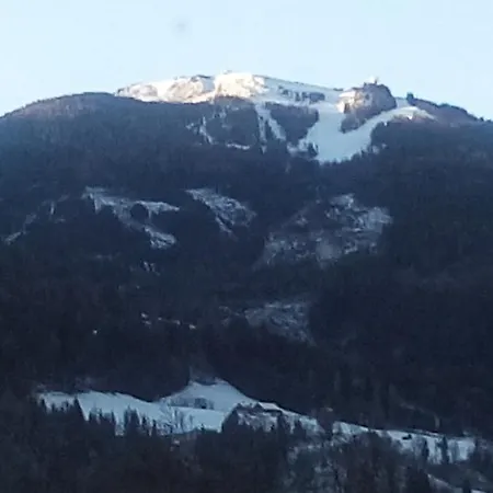 Apartamento Flatzerhof *