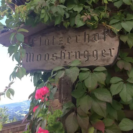 Flatzerhof * Haus im Ennstal