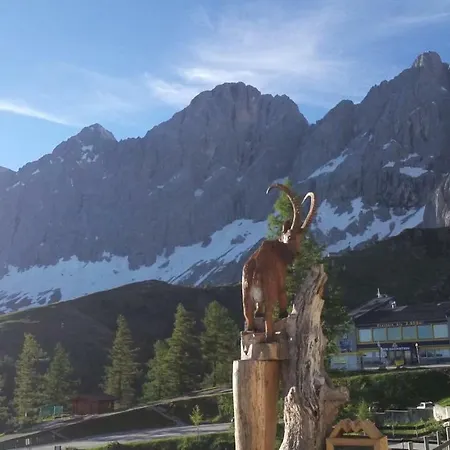 Apartment Flatzerhof Haus im Ennstal