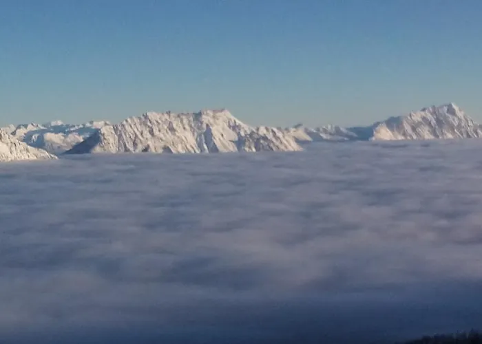 Flatzerhof Apartament *