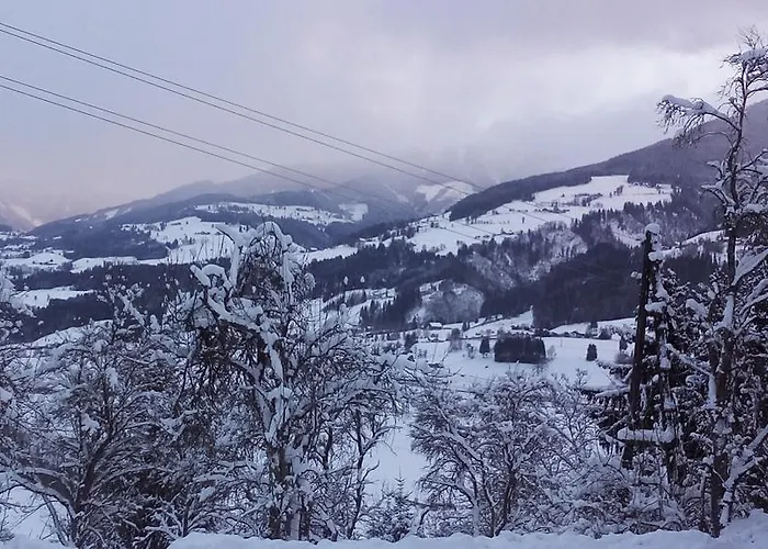 Apartament Flatzerhof