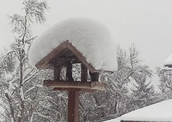 Apartament Flatzerhof *