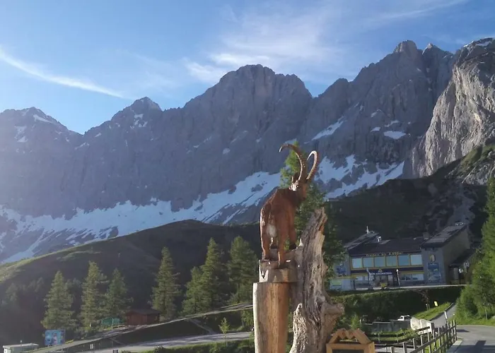 Apartament Flatzerhof Haus im Ennstal